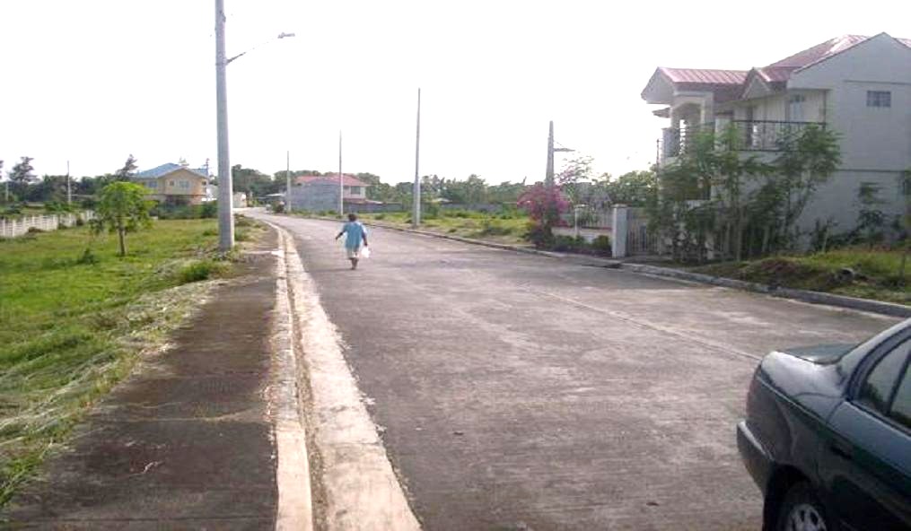 FOR SALE: Lot / Land / Farm Cavite > Dasmarinas 9