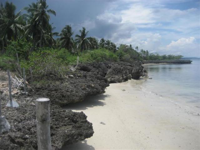 White Sand Beach