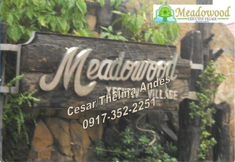 FOR SALE: Lot / Land / Farm Cavite > Bacoor