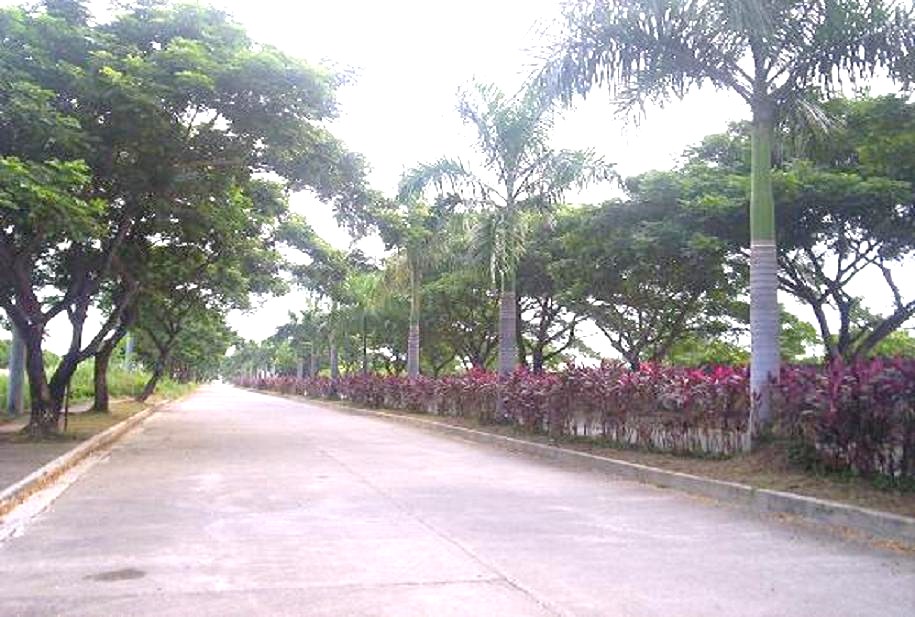 FOR SALE: Lot / Land / Farm Bulacan > Other areas 17