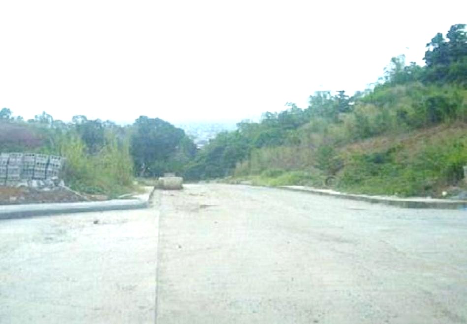 FOR SALE: Lot / Land / Farm Rizal 9