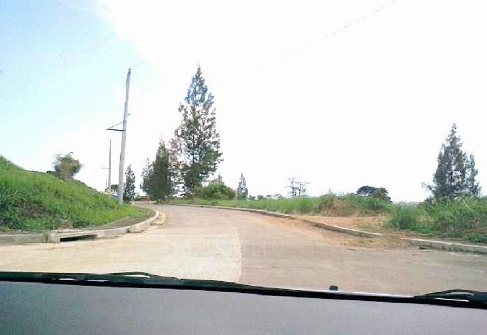 FOR SALE: Lot / Land / Farm Rizal 8