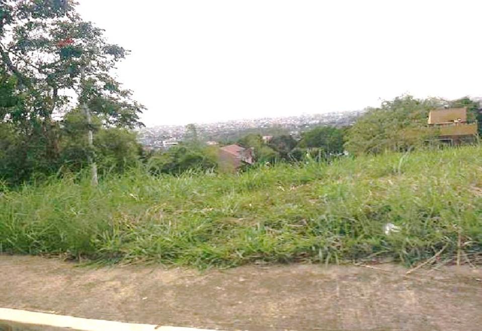 FOR SALE: Lot / Land / Farm Rizal 12