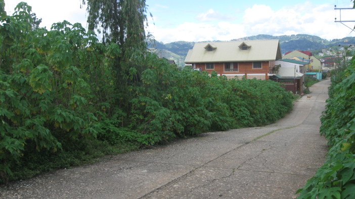 400sqm Lot area along the road