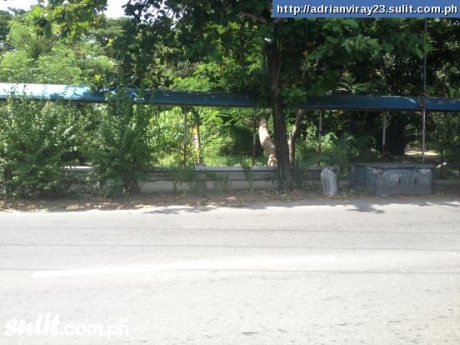 FOR SALE: Lot / Land / Farm La Union 1