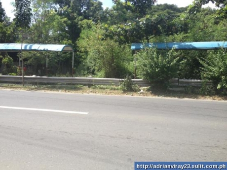 FOR SALE: Lot / Land / Farm La Union 2