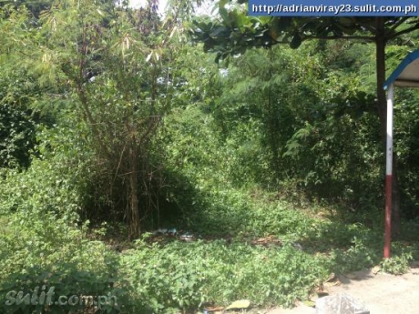 FOR SALE: Lot / Land / Farm La Union 4