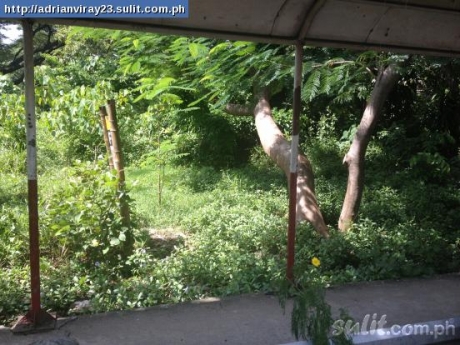 FOR SALE: Lot / Land / Farm La Union 6