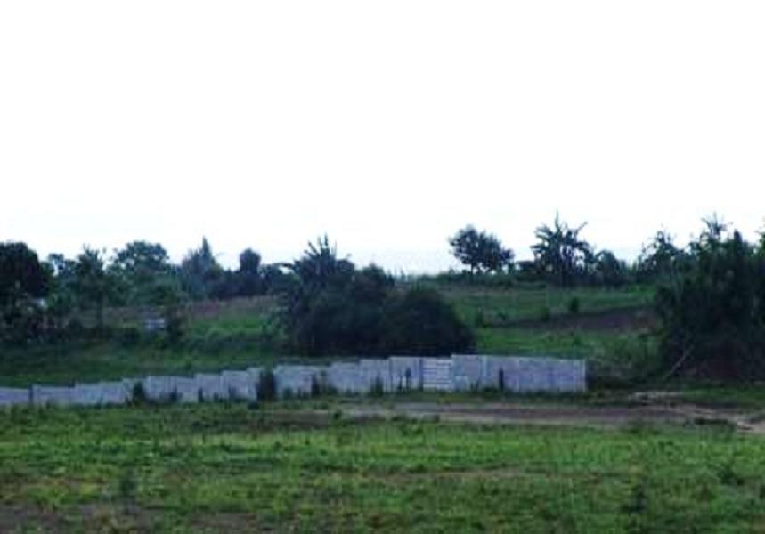 FOR SALE: Lot / Land / Farm Laguna > Calamba 3