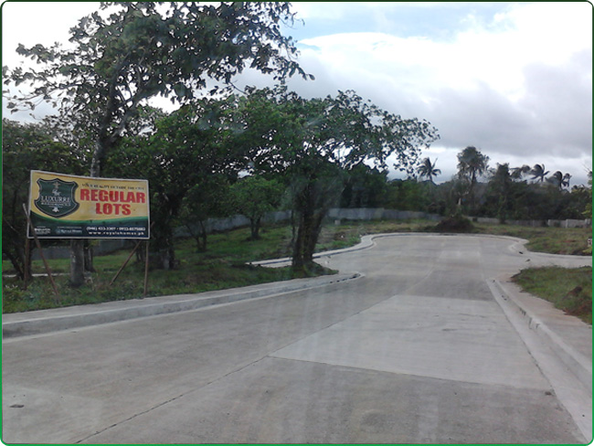 FOR SALE: Lot / Land / Farm Cavite 4