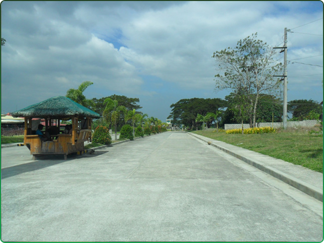 FOR SALE: Lot / Land / Farm Cavite 5