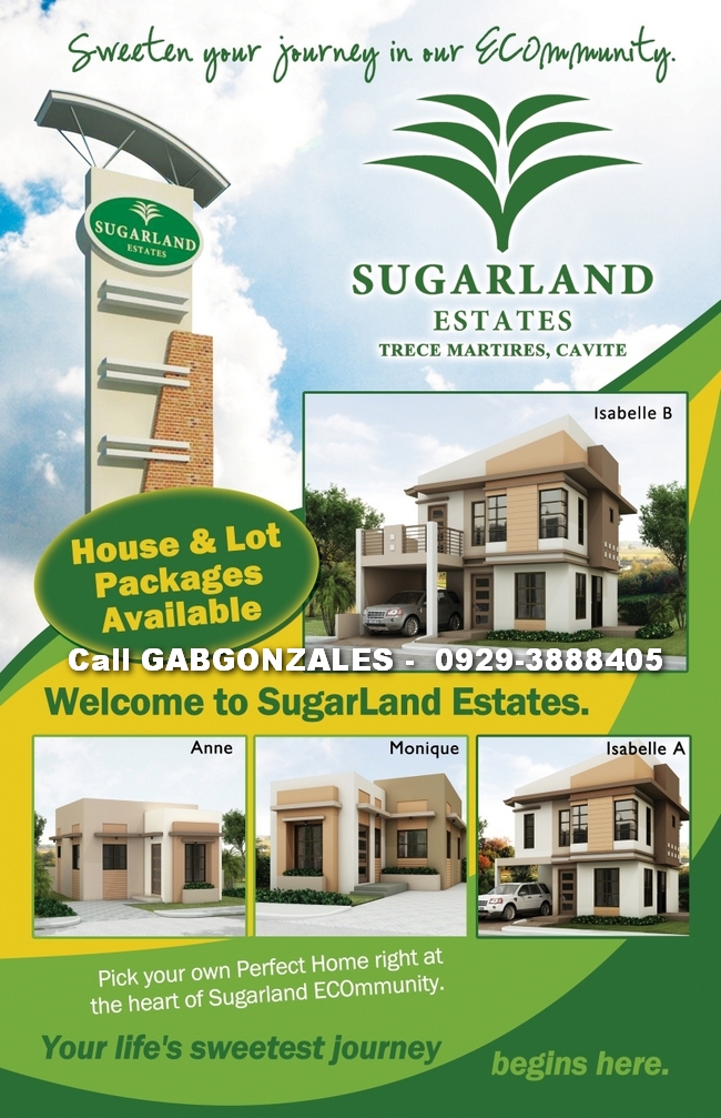 FOR SALE: Lot / Land / Farm Cavite 8