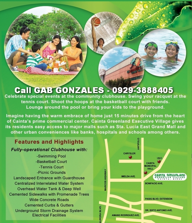 FOR SALE: Lot / Land / Farm Rizal > Cainta 1