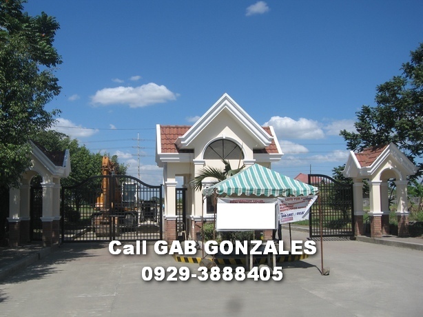 FOR SALE: Lot / Land / Farm Rizal 1