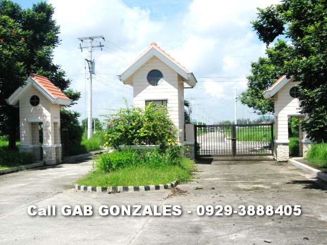 FOR SALE: Lot / Land / Farm Nueva Ecija > Cabanatuan 2