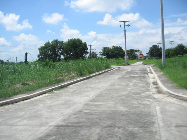 FOR SALE: Lot / Land / Farm Nueva Ecija > Cabanatuan 6