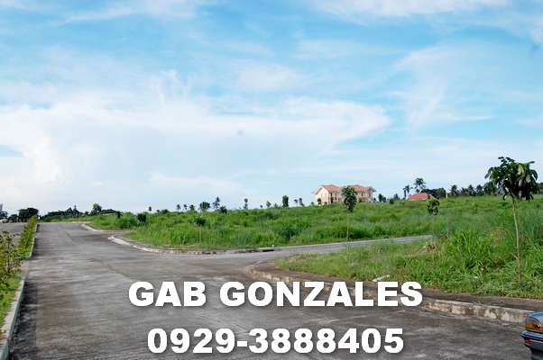 FOR SALE: Lot / Land / Farm Laguna > Calamba 3