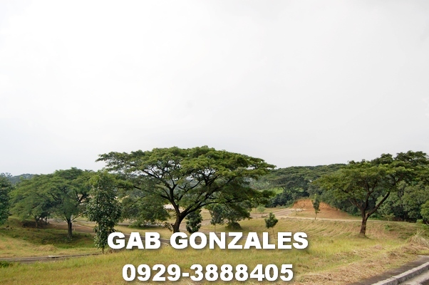 FOR SALE: Lot / Land / Farm Rizal > Antipolo 2
