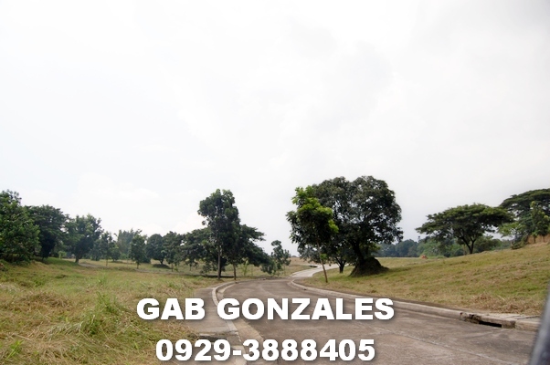 FOR SALE: Lot / Land / Farm Rizal > Antipolo 3