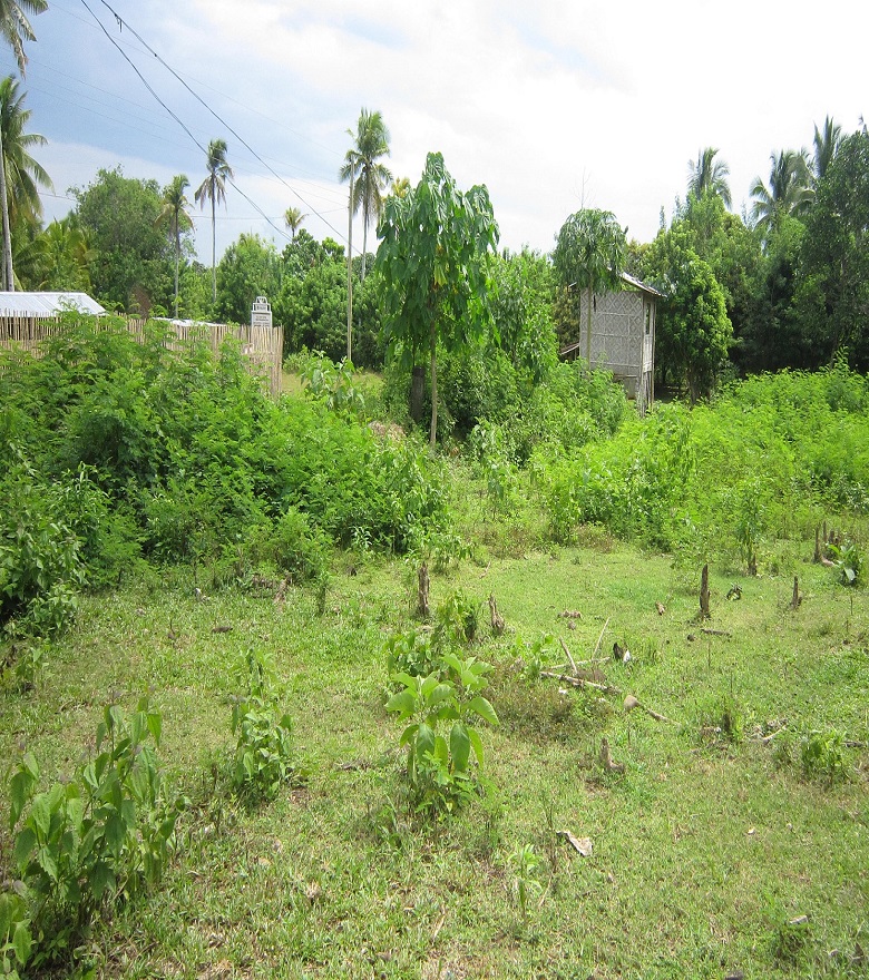 FOR SALE: Lot / Land / Farm Davao