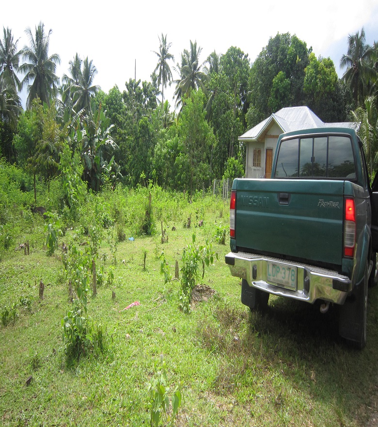 FOR SALE: Lot / Land / Farm Davao 1