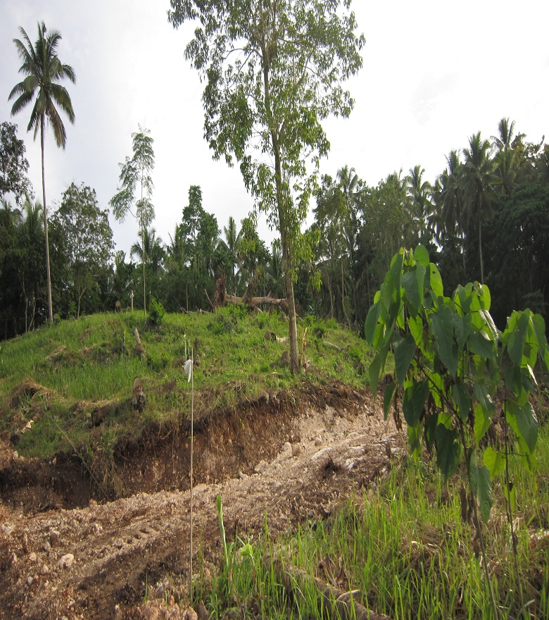 FOR SALE: Lot / Land / Farm Davao 3