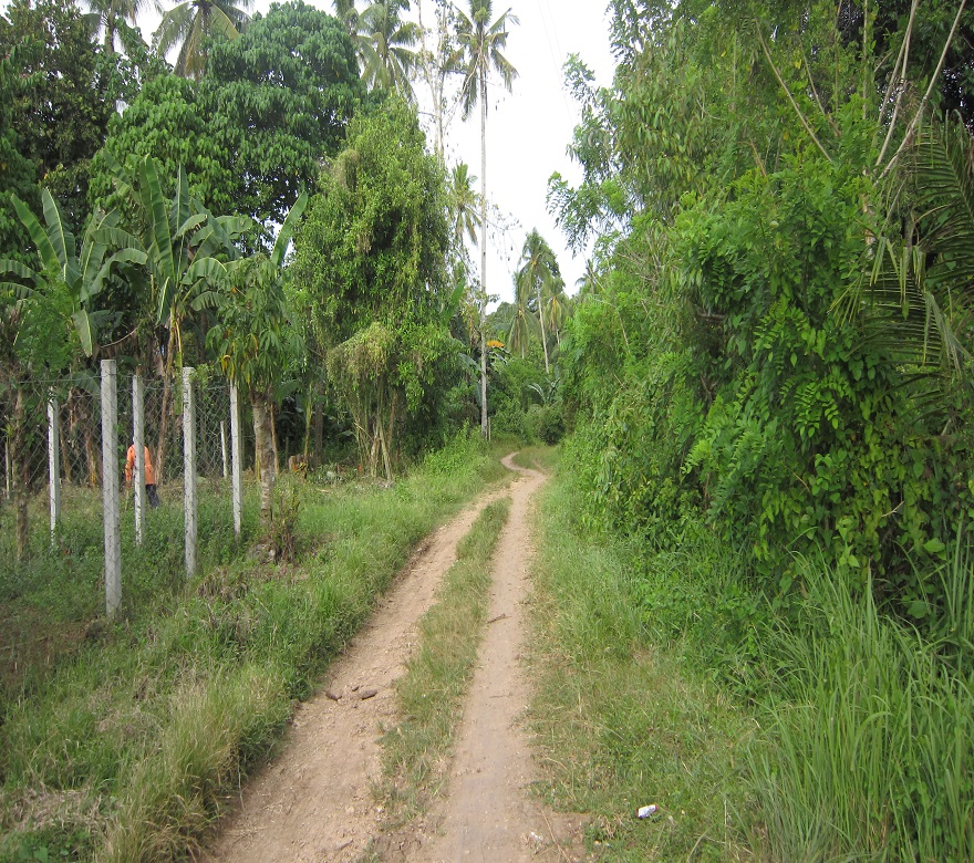 FOR SALE: Lot / Land / Farm Davao 5