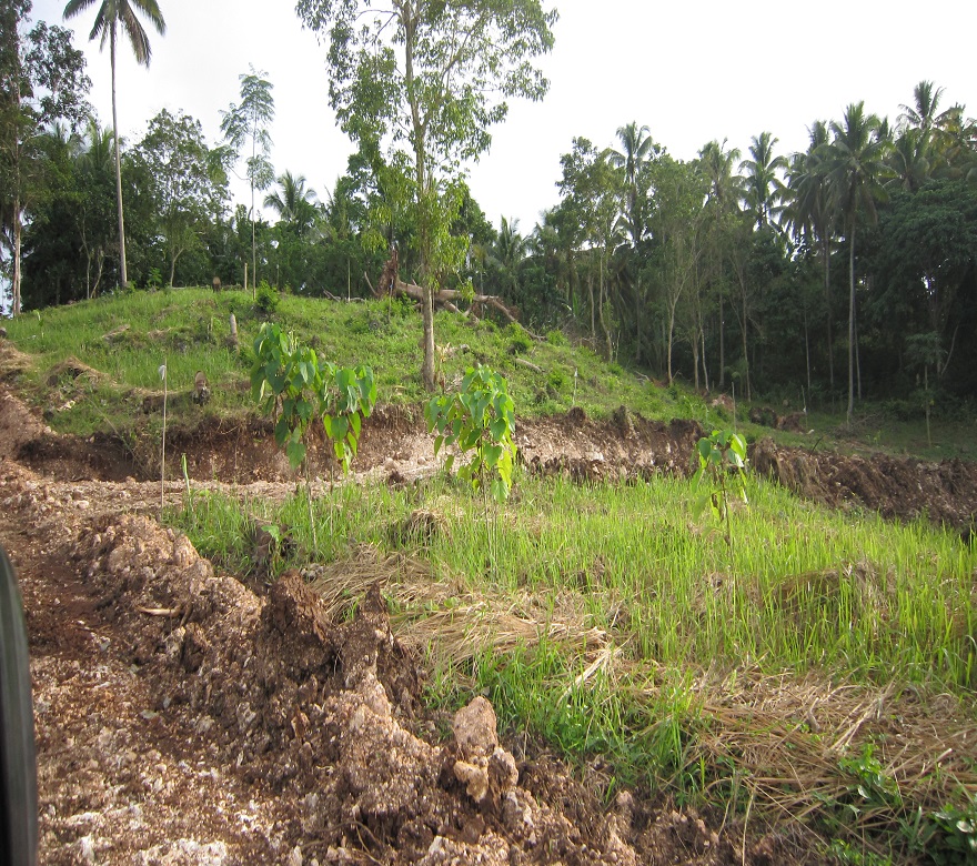 FOR SALE: Lot / Land / Farm Davao 6