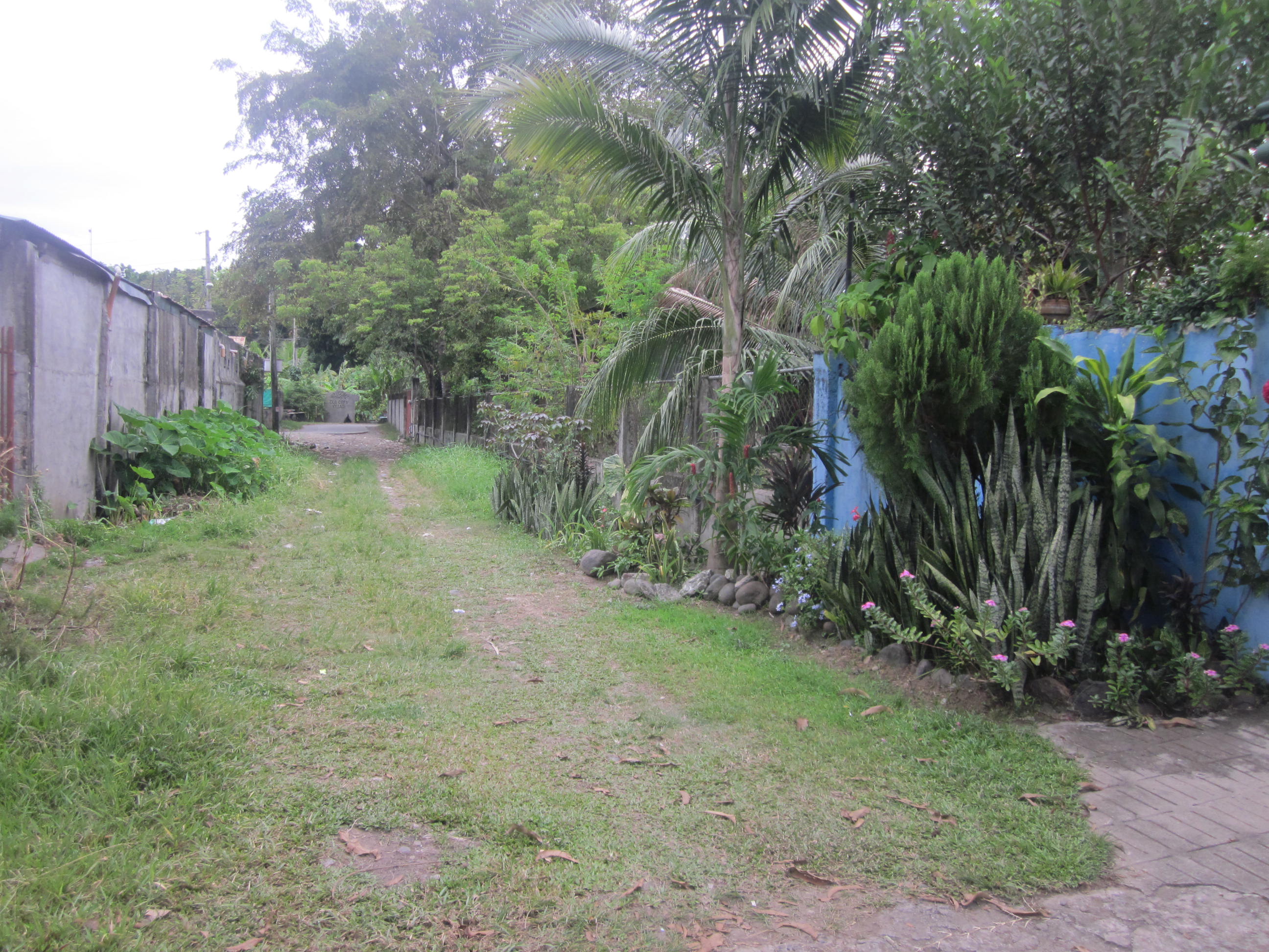 FOR SALE: House Davao >Davao City 3