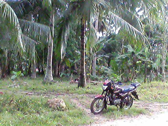 FOR SALE: Lot / Land / Farm Davao del Sur > Samal 2