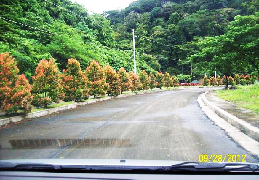 FOR SALE: Lot / Land / Farm Rizal 6