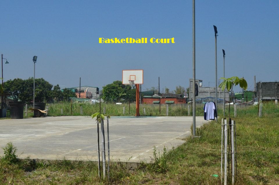 Basketball court