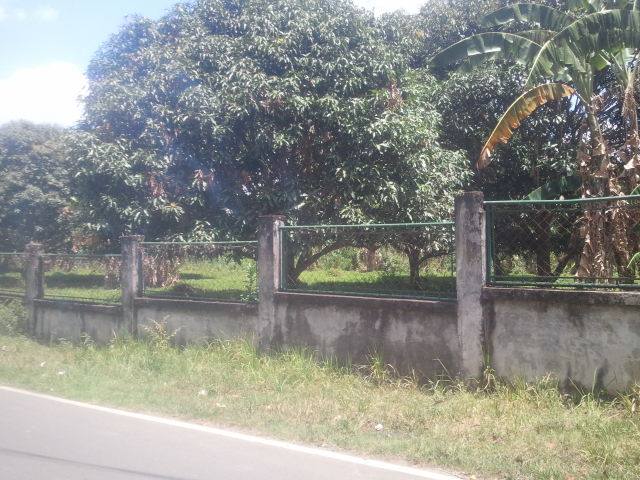 FOR SALE: Lot / Land / Farm Laguna