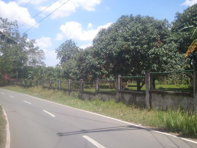 FOR SALE: Lot / Land / Farm Laguna 2