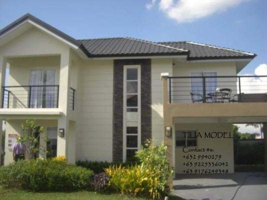 Tilia  Model