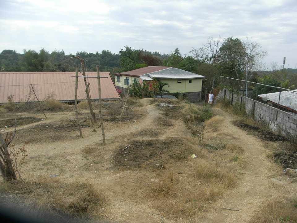 FOR SALE: Lot / Land / Farm La Union