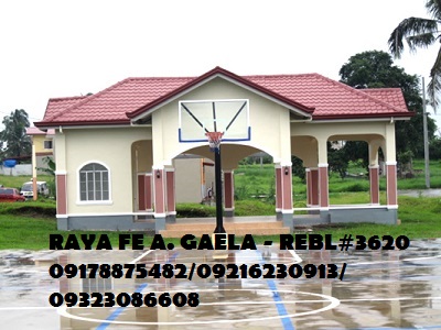 FOR SALE: Lot / Land / Farm Cavite > Silang 4