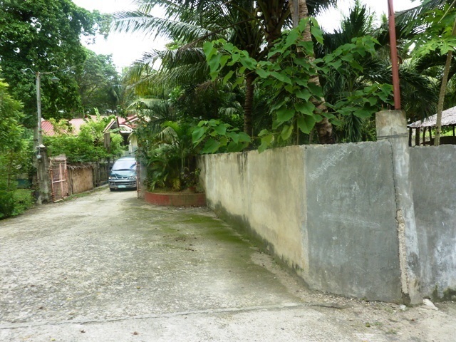 FOR SALE: Lot / Land / Farm Cebu