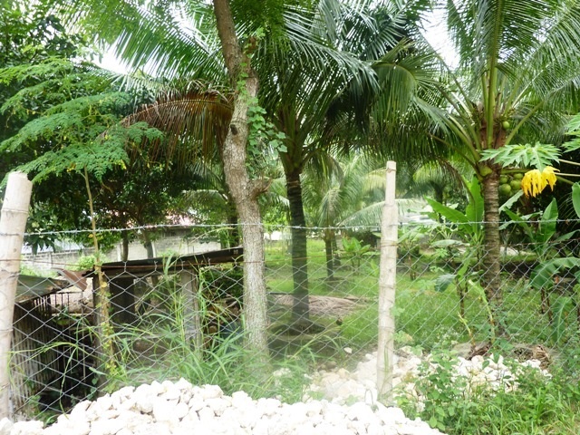 FOR SALE: Lot / Land / Farm Cebu 1