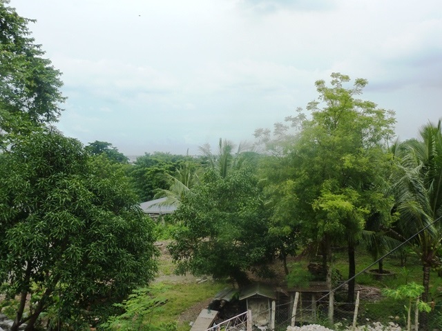 FOR SALE: Lot / Land / Farm Cebu 2