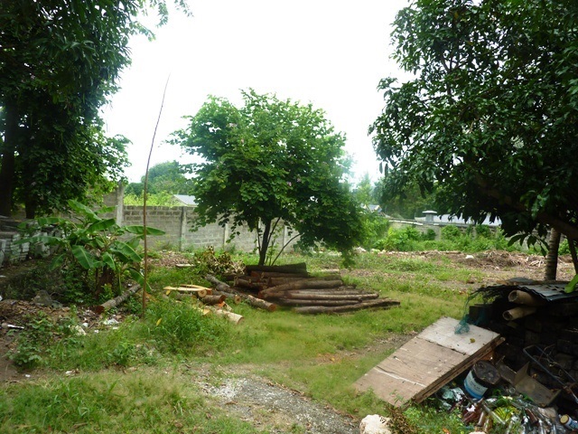 FOR SALE: Lot / Land / Farm Cebu 3