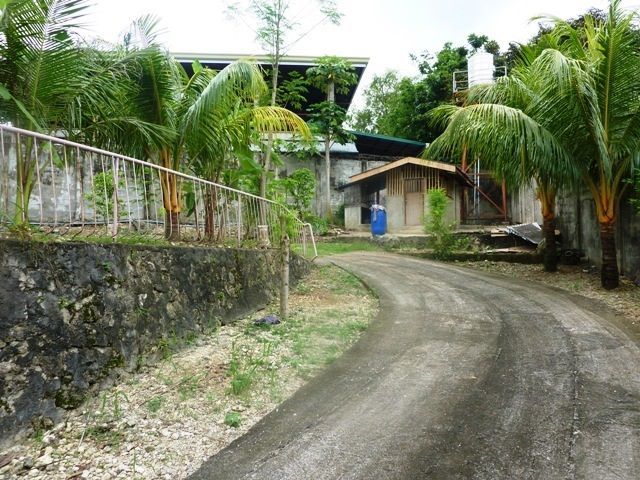 FOR SALE: Lot / Land / Farm Cebu 2