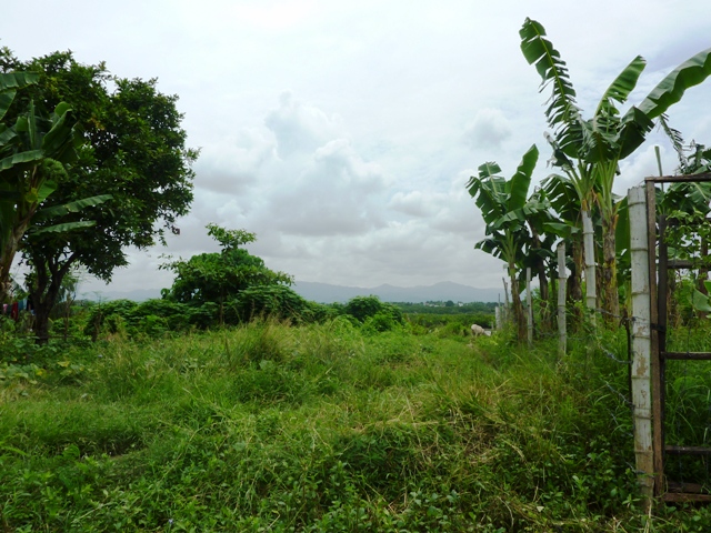 FOR SALE: Lot / Land / Farm Cebu 1