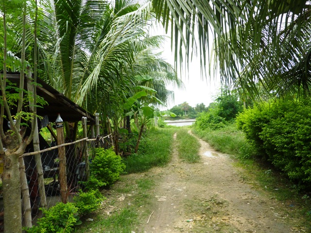 FOR SALE: Lot / Land / Farm Cebu