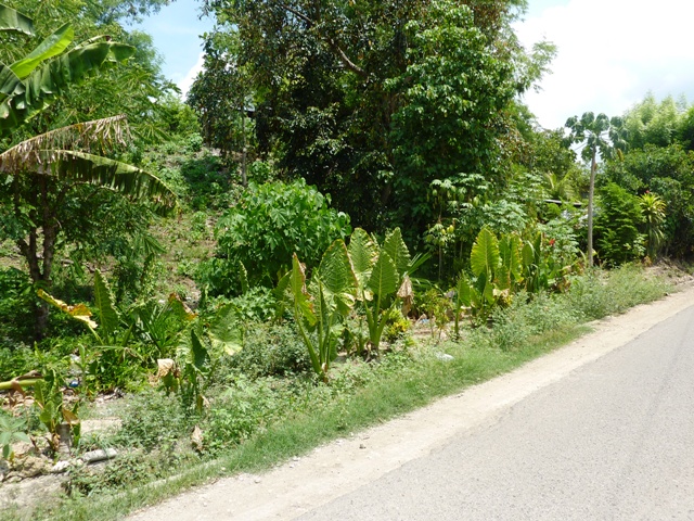 FOR SALE: Lot / Land / Farm Cebu