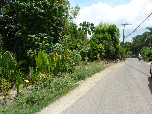 FOR SALE: Lot / Land / Farm Cebu 2