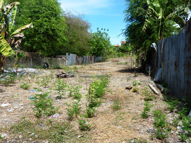 FOR SALE: Lot / Land / Farm Cebu 4