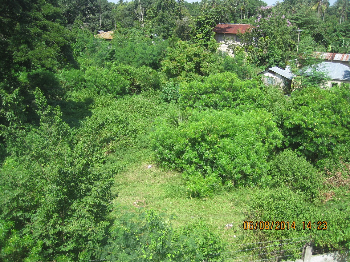 FOR SALE: Lot / Land / Farm Cebu > Other areas