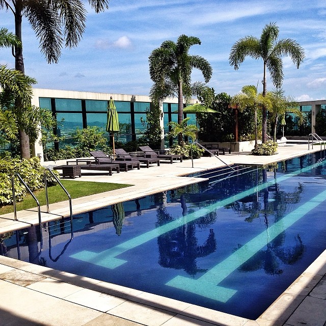 Rooftop Lap Pool