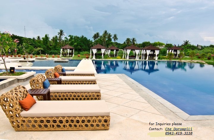 pool loungers